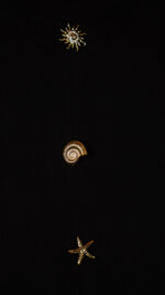 Pull Noir Femme à Détails Dorés – Tunisie – Image 3